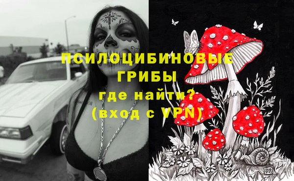PSILOCYBIN Покачи
