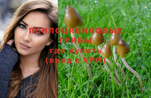 шишки Покровск