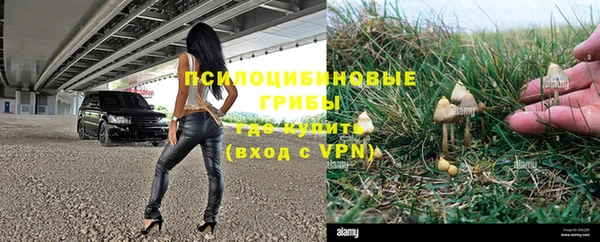 MESCALINE Покров